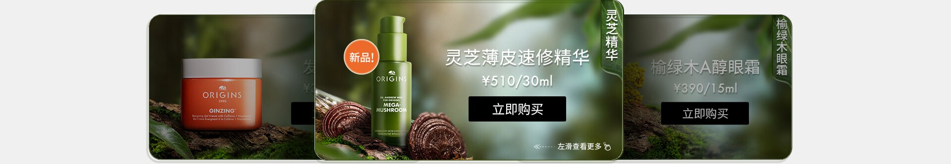 灵芝精华