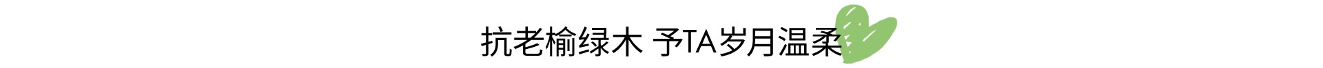 榆绿木A肽系列 抗老淡纹首选