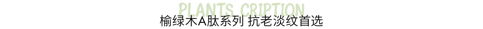 榆绿木A肽系列 抗老淡纹首选