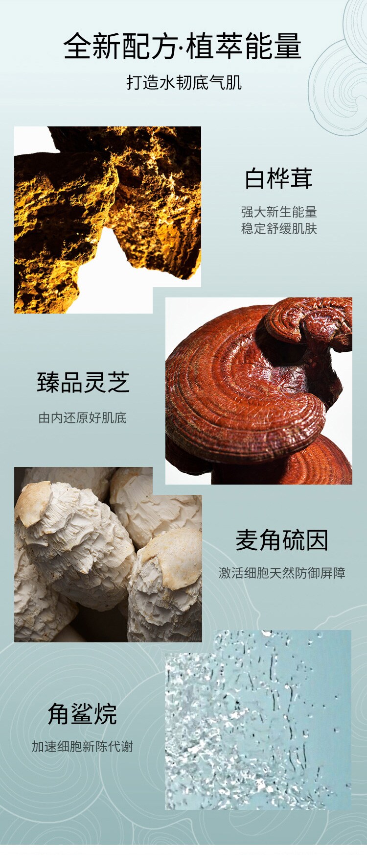 韦博士灵芝焕能好底子饱水凝霜