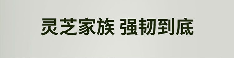 灵芝家族 强韧到底