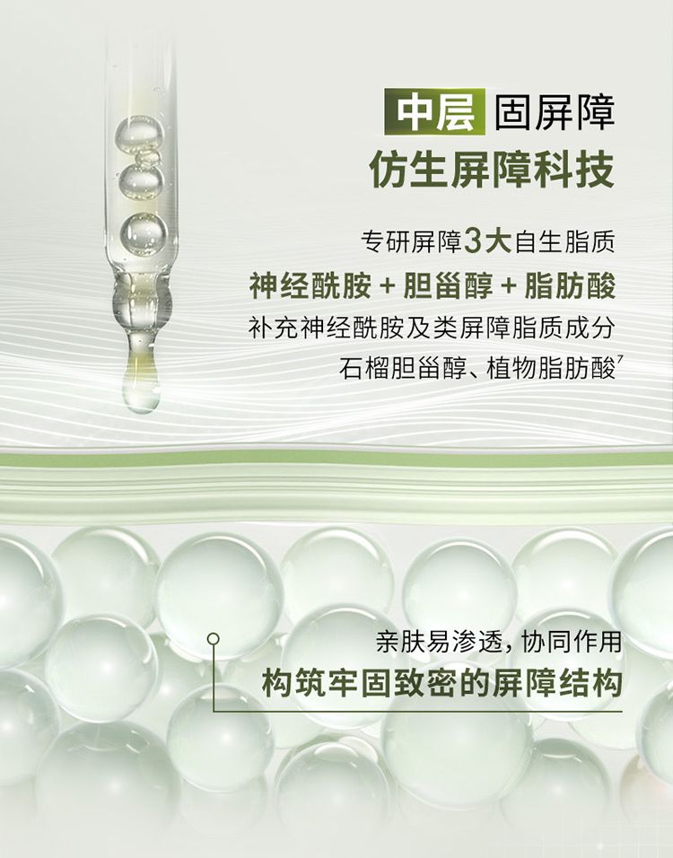 灵芝薄皮速修精华