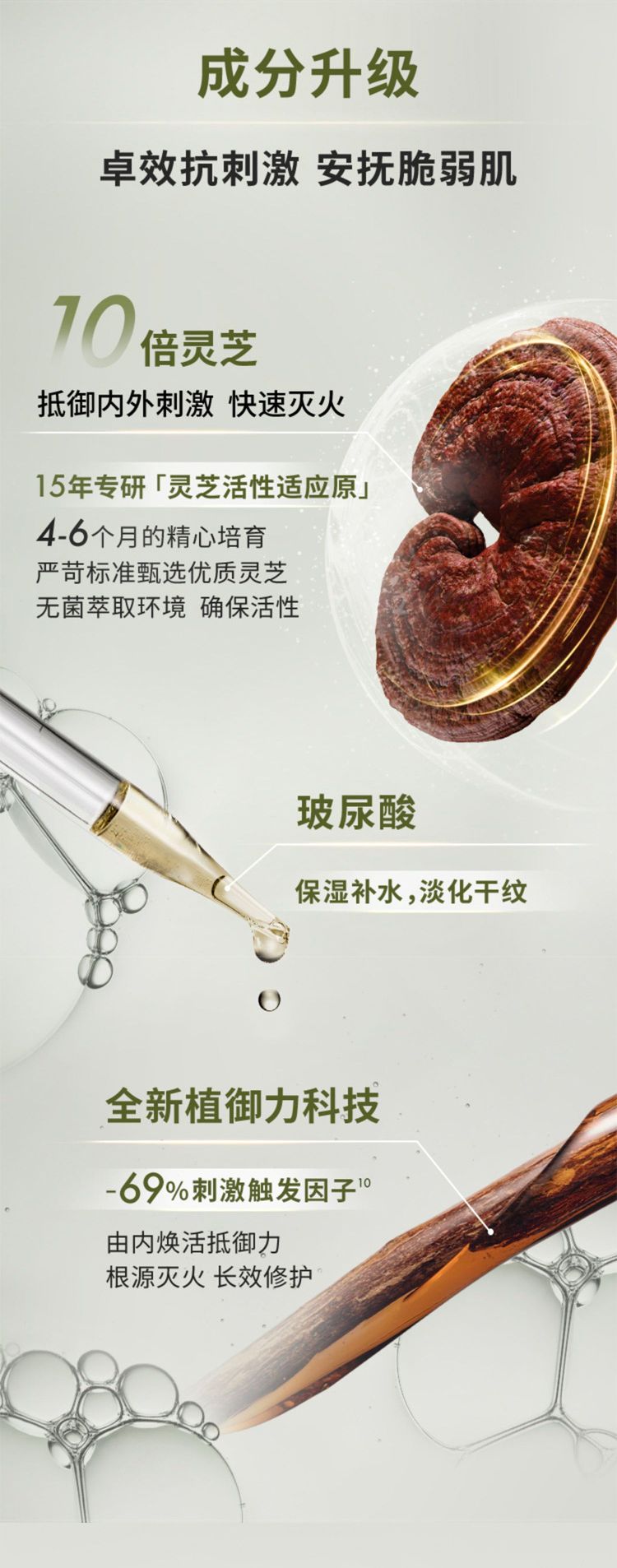 灵芝薄皮修护双星