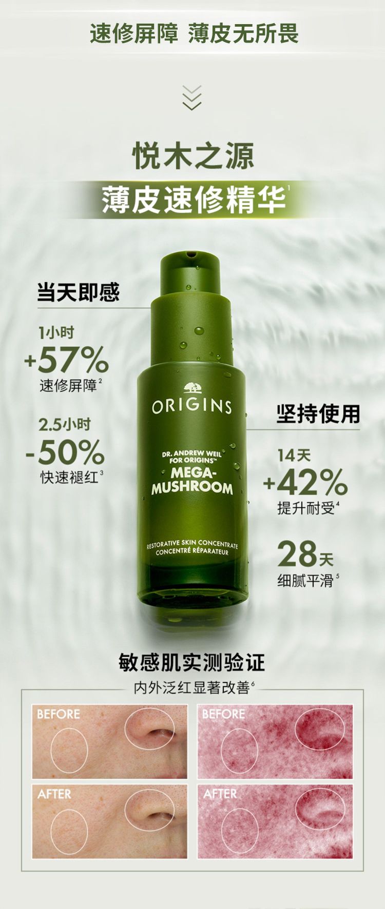 灵芝薄皮修护双星