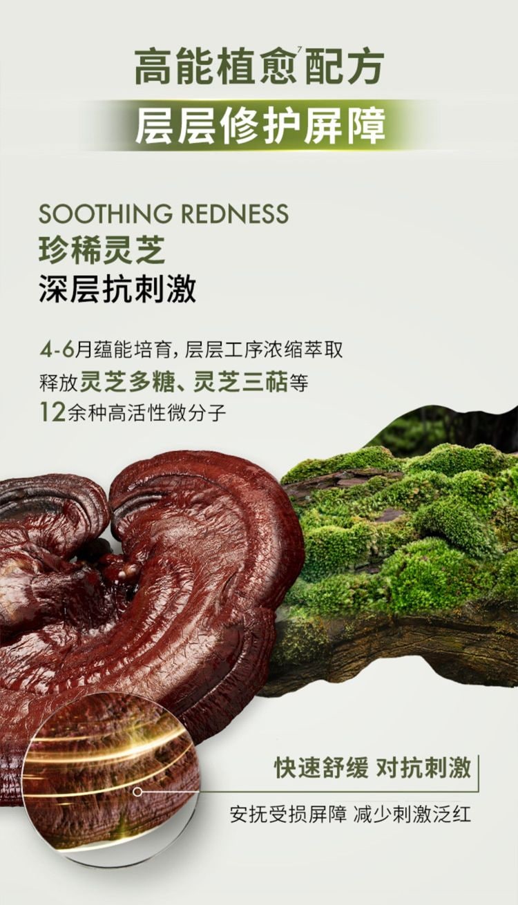 灵芝薄皮修护双星