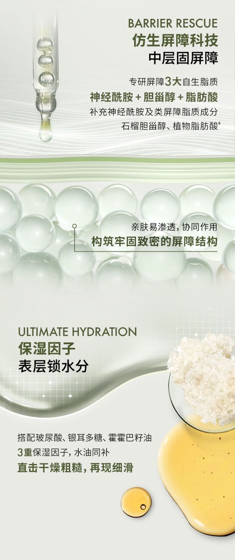 灵芝薄皮修护双星