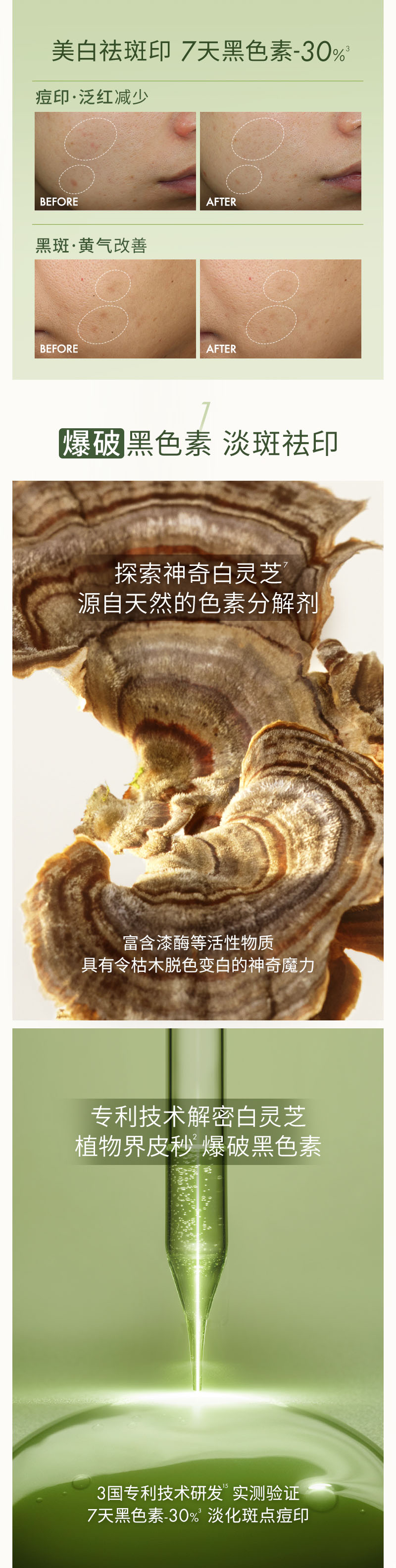 灵芝美白面霜