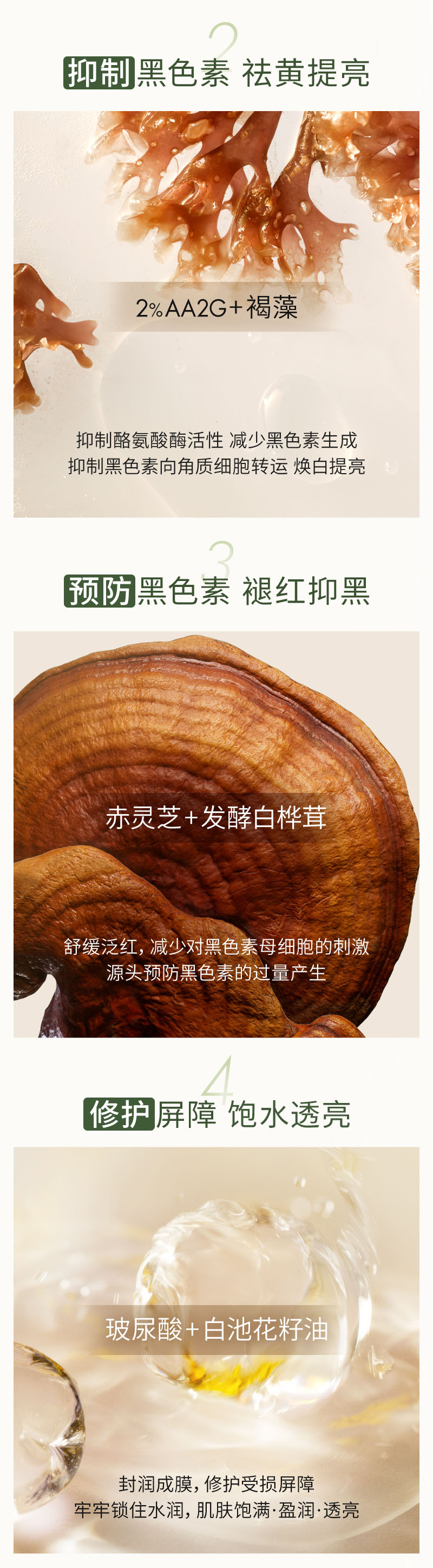 灵芝美白面霜