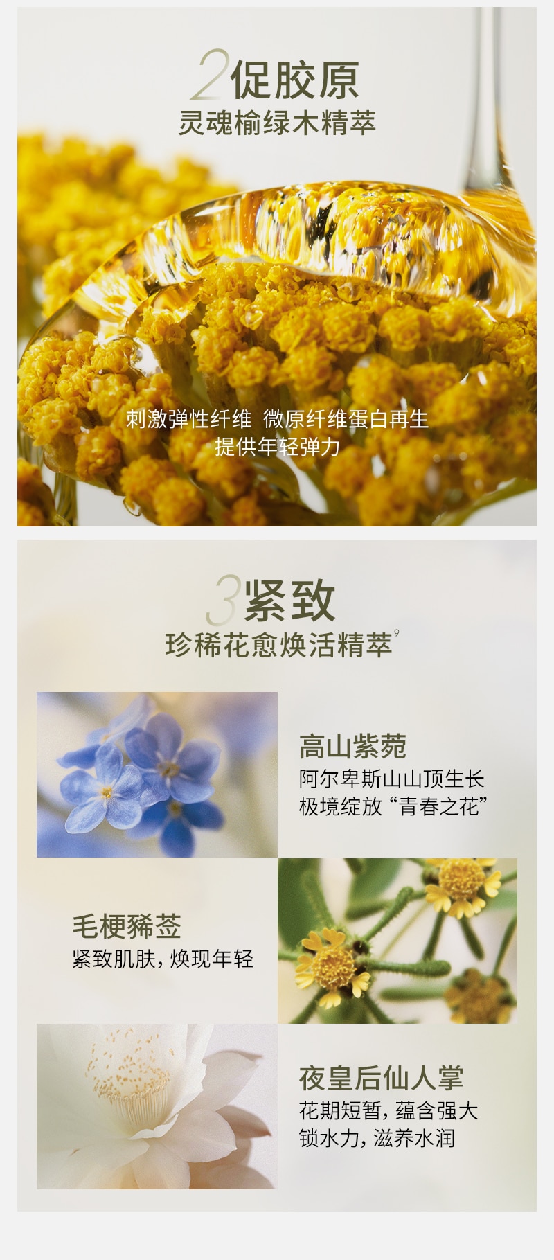 榆绿木抗老晚霜