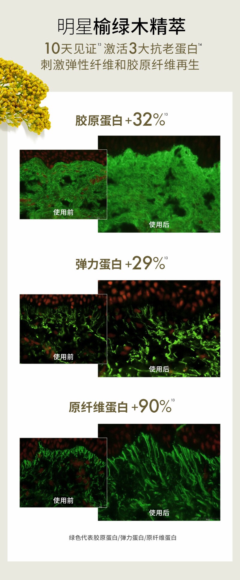 榆绿木提拉紧致淡纹精华