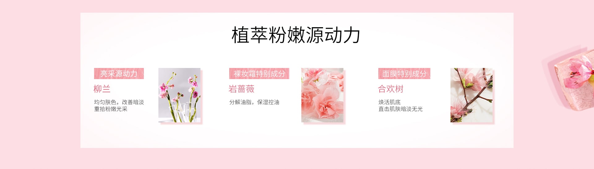 产品成分信息
